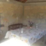 Ivan דירה *